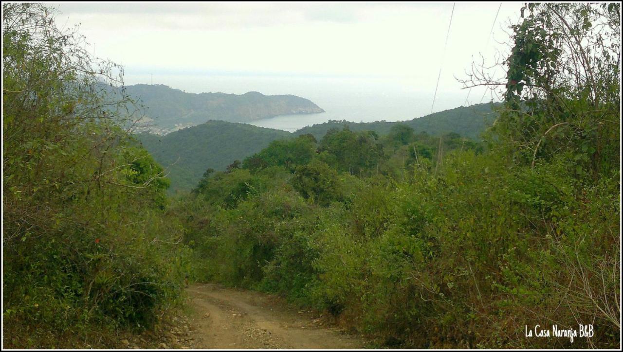 La Casa Naranja Bed And Breakfast โอลอน ภายนอก รูปภาพ